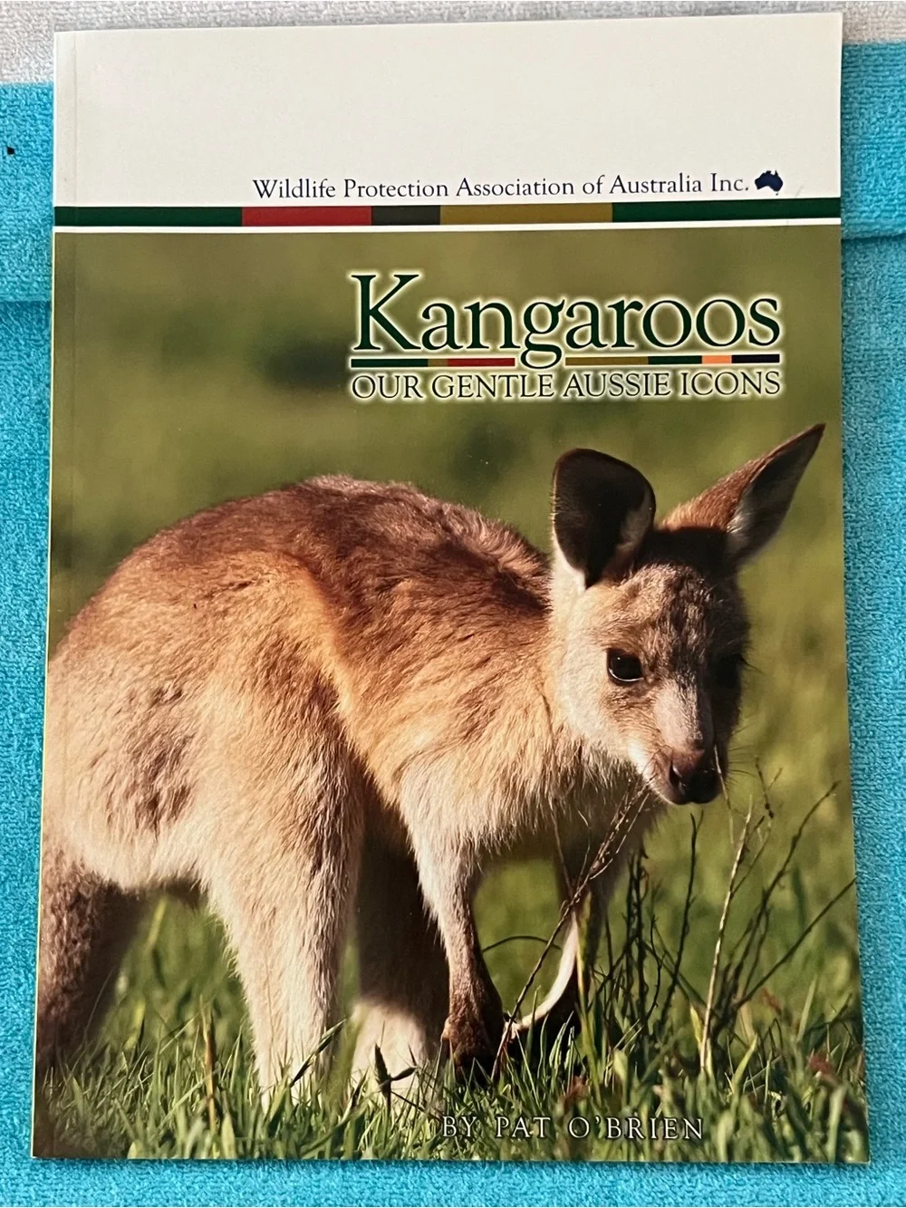 KANGAROOS Gentle Australian Icons Book